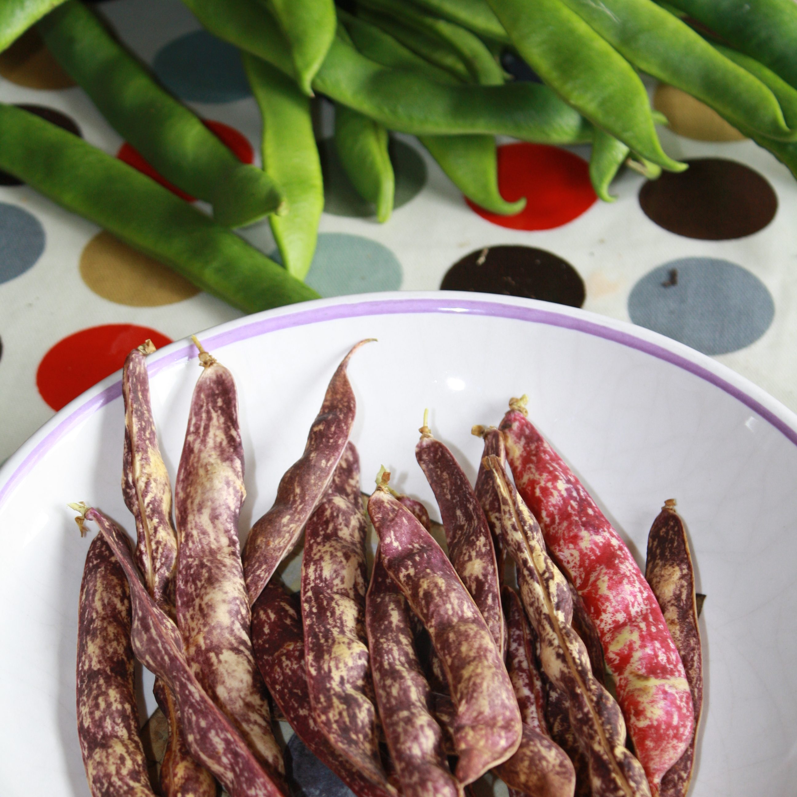 Relishing Life –  Eating Well